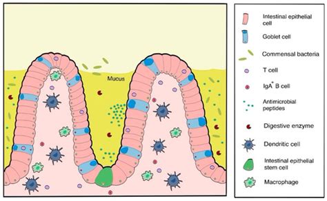 Pharmaceutics | October 2020 - Browse Articles