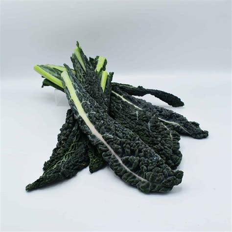 Black Kale In Spanish at Loyd Honore blog