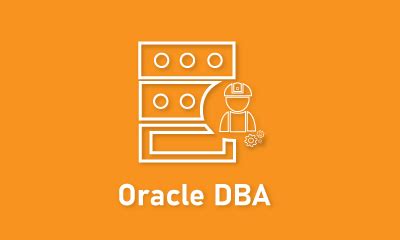 Oracle SQL DBA 的图像结果