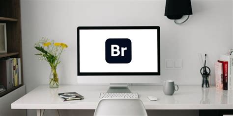 Image result for Tutorial for Adobe Bridge