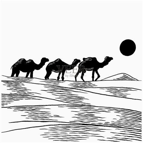阿拉善右旗：“驼”起小康梦_骆驼