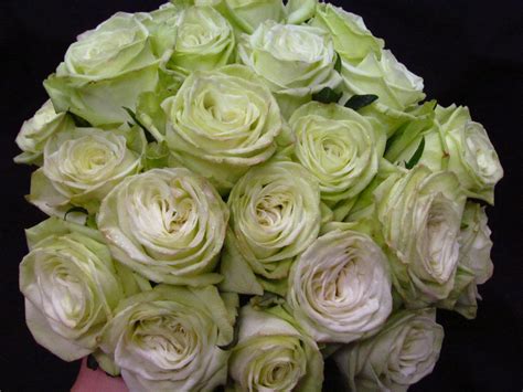 Florafino's Weddings: The "Green Rose" Bouquet