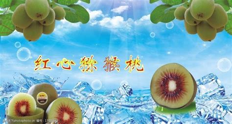 猕猴桃文化-中国猕猴桃网