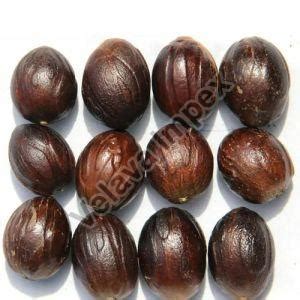 Jumbo Nutmeg Exporter,Wholesale Jumbo Nutmeg Supplier from Pondicherry ...