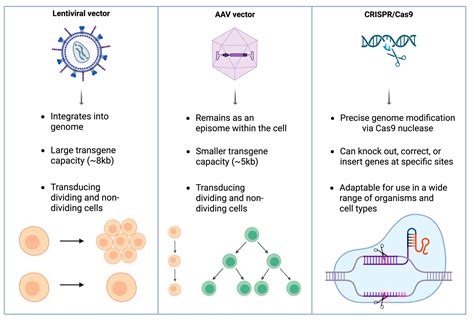 Gene Therapy for Inherited Retinal Disease: Current Strategies ...