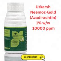 How to manage fruit and shoot borer of brinjal? – resetagri