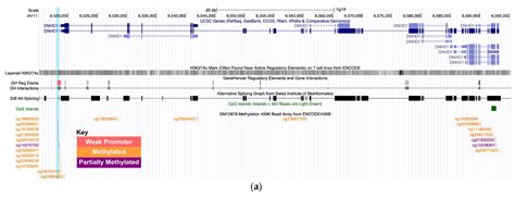 Differentially Methylated DNA Regions and Left Ventricular Hypertrophy ...