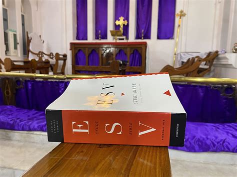 Buy Study Bible-ESV Book Online at Low Prices in India | Study Bible ...