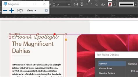 Image result for InDesign Te