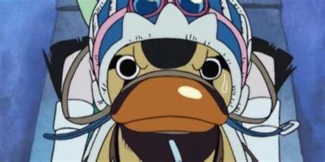 Cutest Creatures In One Piece