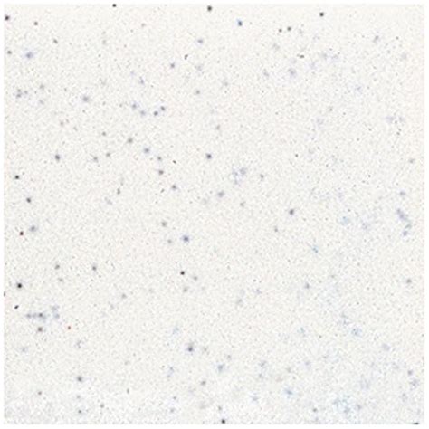 American Olean Tile 045SCL3601 Salt and Pepper B&M Group 1 Tile, 6" x 6 ...