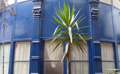 HOSTAL ROMA (Lima) - Hostel Reviews & Photos - Tripadvisor