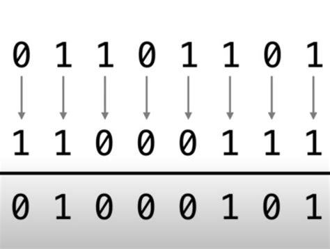 Bit Array 的图像结果