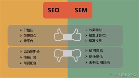 SEO和SEM之间的区别，如何正确选择网站优化和竞价？-【飞鱼浅谈】_seo、sem、smm-CSDN博客
