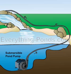 Using Pool Pump for Pond Pump 的图像结果