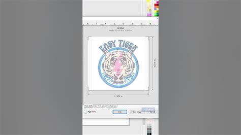 VinylMaster Tutorial 的图像结果