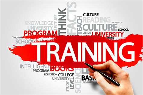 Training Check In 的图像结果