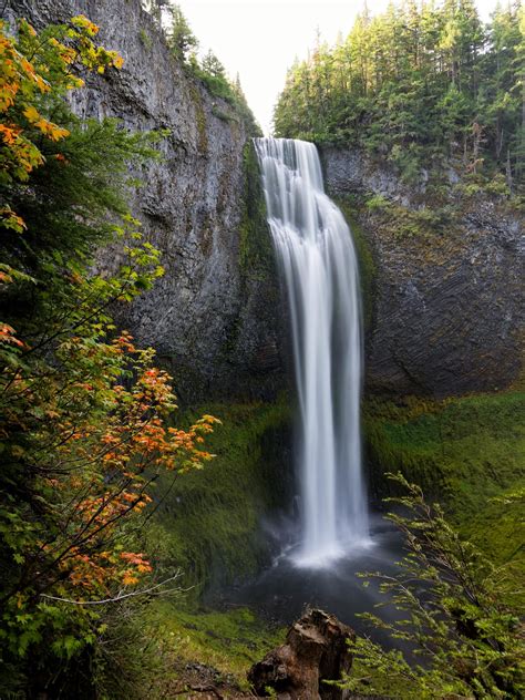 Salt Creek Falls, Oregon | Know Your Meme