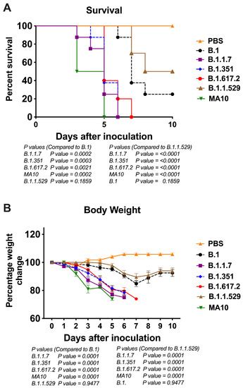 Differential Pathogenesis of SARS-CoV-2 Variants of Concern in Human ...