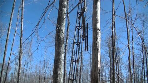 Image result for Exploding Treehouse