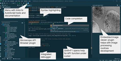 Image result for Autoscript Tem