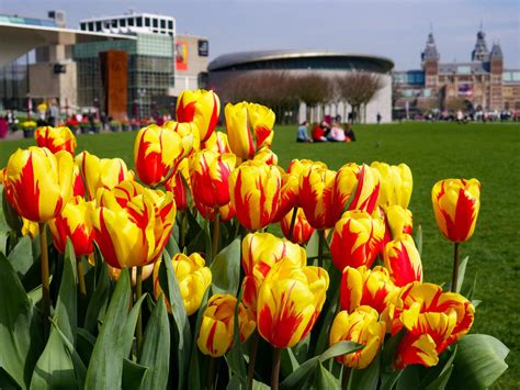 11 Best Amsterdam Museums 2026 - Hellotickets