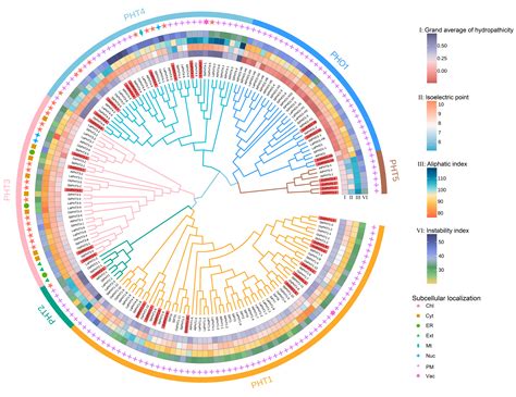 Genome-Wide Identification and Expression Analysis of the Phosphate ...
