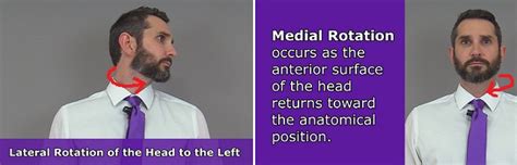 Image result for Contralateral Head Rotation