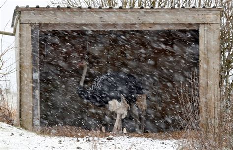 Britain Becomes Colder than Mount Everest; Braces for Coldest Night in ...