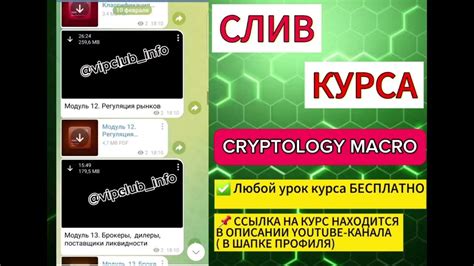 CRYPTOLOGY MACRO | СЛИВ КУРСА | ВСЕ МАТЕРИАЛЫ - YouTube