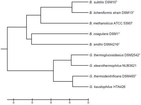 Genetic Tools and Techniques for Recombinant Expression in Thermophilic ...