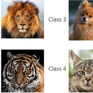 Image result for Class 2 Text/Image