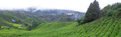 ITS Tours and Events : Kerala Tour Packages | Kerala Houseboats | Cab ...