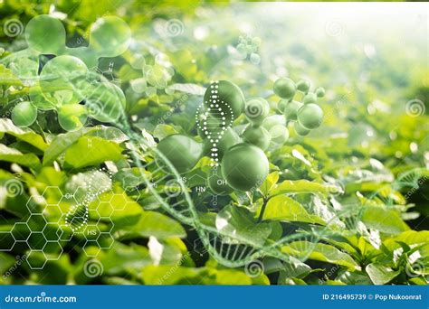 Do Plants Have Unique Dna at Christopher Lewis blog