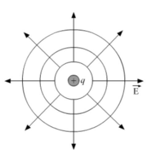 What is the geometrical shape of equipotential surfaces due to a single ...