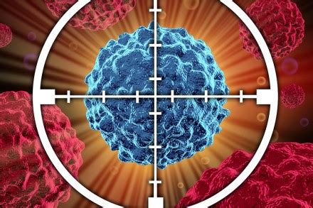 Image result for Cancer