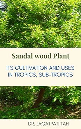 Sandal wood Plant: Its cultivation and Uses in tropics, sub-tropics ...