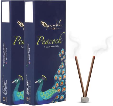 Pankh By Divine Premium Dhoop Stick - Dhup Batti for Pooja & Meditation ...