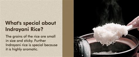 Praakritik Natural Indrayani Rice 3KG | Traditional Rich & Aromatic ...