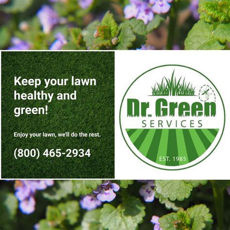 Creeping Charlie Control: Expert Tips for a Weed-Free Lawn