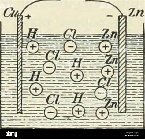 . Practical physics. two dissimilar metals immersed in a solution of ...