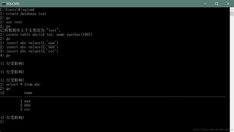 SqlCommand 的图像结果
