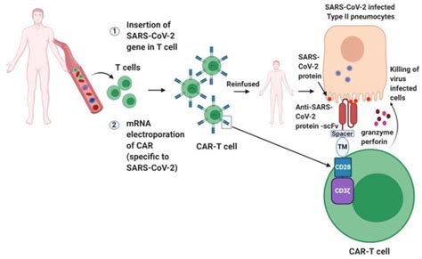 Emerging Prevention and Treatment Strategies to Control COVID-19