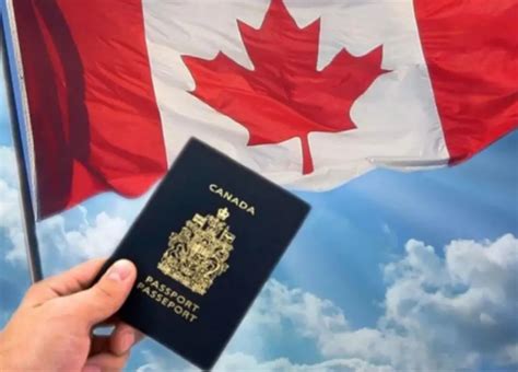 一次讲清！加拿大新移民就能享受的12大福利！ - 知乎