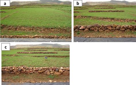 Image result for Arable Land Gradient