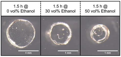 Hydrogel-Based Sensors for Ethanol Detection in Alcoholic Beverages