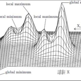 Local Optima 的图像结果