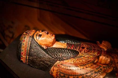 木乃伊、人形木棺、亡灵书，你想了解的古埃及都在这_山东各地 _山东新闻_新闻_齐鲁网