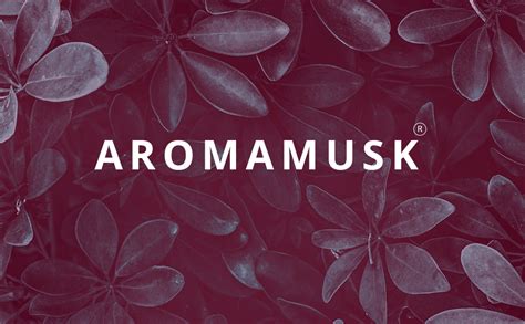 Buy AromaMusk 100% Organic & Natural Rose Water for Face & Skin - 100ml ...