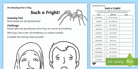 Such a Fright Worksheet | Phobia Class Activity